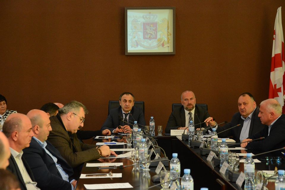 პროგრამების გაცნობა იმერეთის მუნიციპალიტეტებისთვის